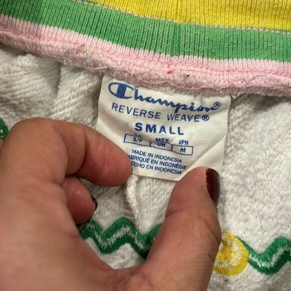 Champion Reverse Weave Watermelon Strawberry Striped Athletic Shorts Small‌‌‍‍‍‍ - Picture 4 of 7